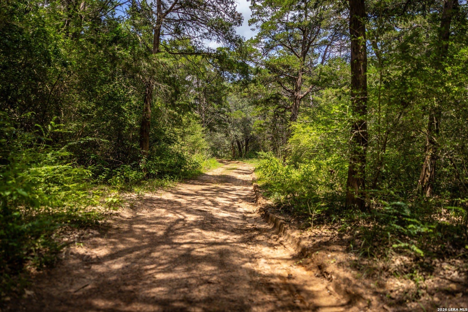 11 acres in Colorado County - photo 43