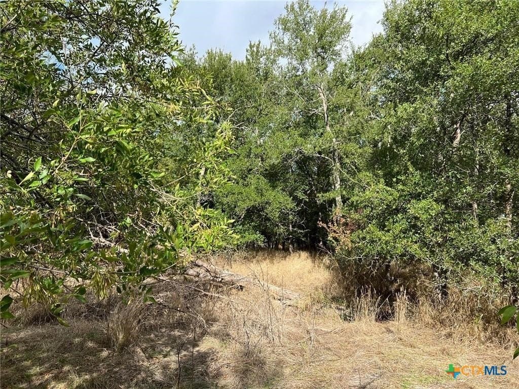 99 acres in Bell County - photo 9
