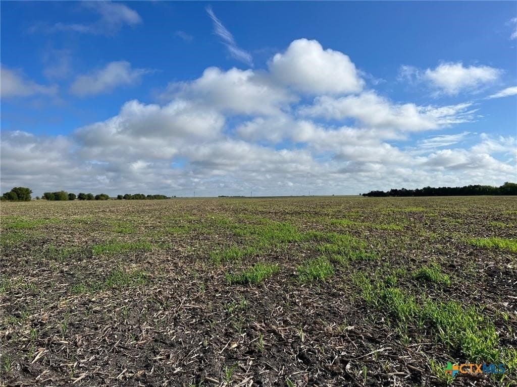 99 acres in Bell County - photo 5