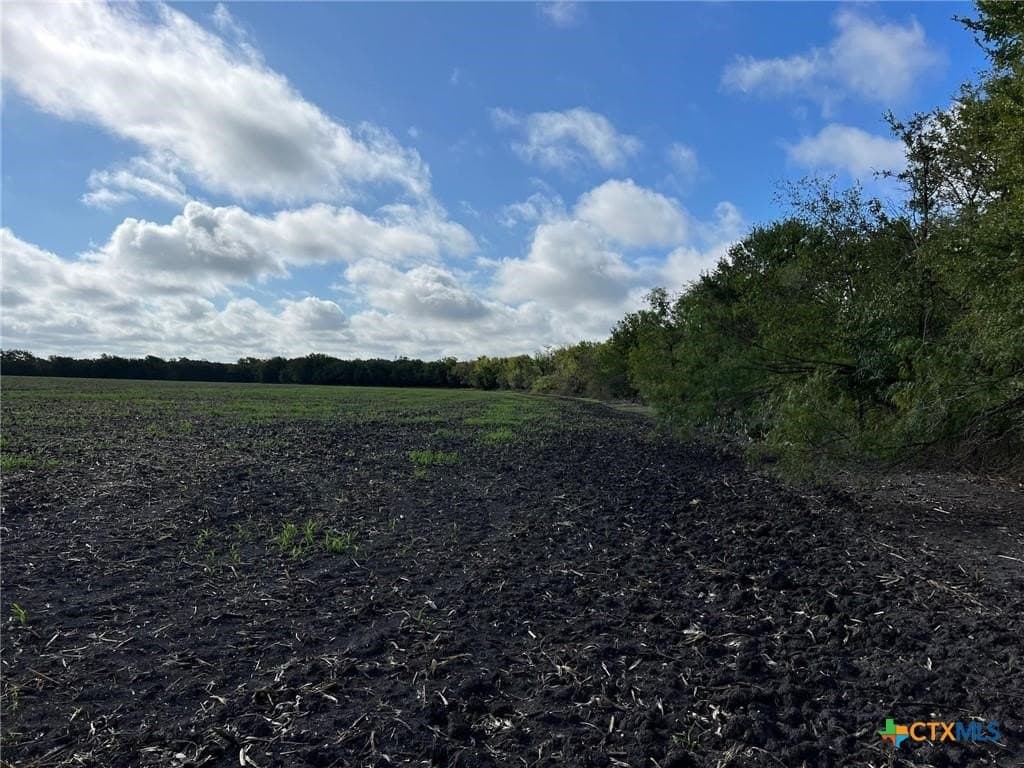 99 acres in Bell County - photo 6