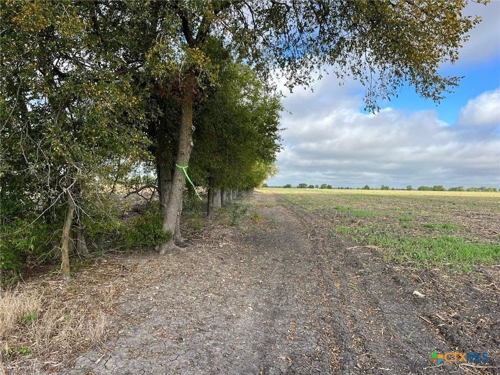 99 acres in Bell County - photo 2