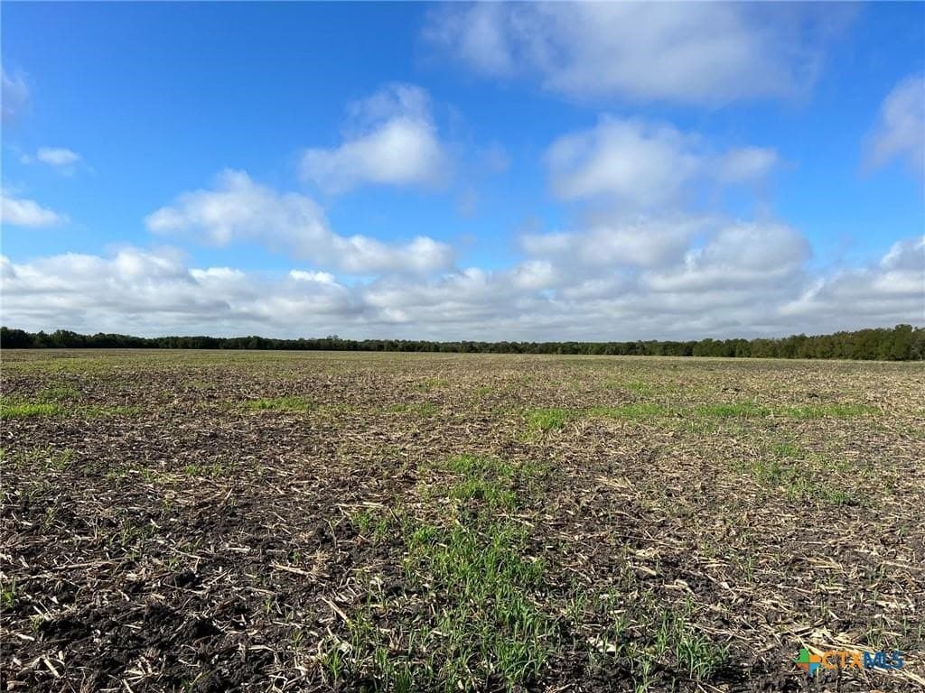 99 acres in Bell County - photo 4