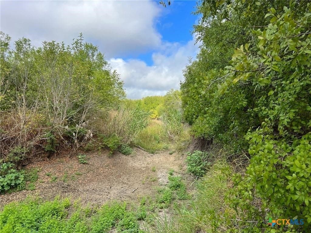 99 acres in Bell County - photo 8