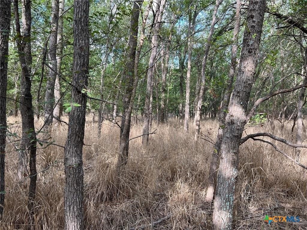 99 acres in Bell County - photo 7
