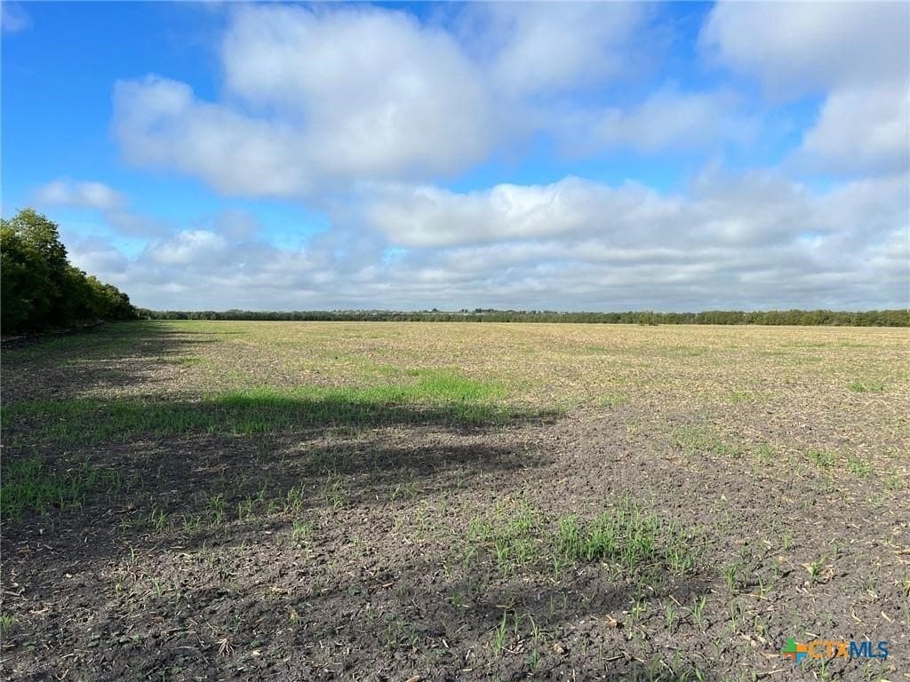 99 acres in Bell County - photo 3