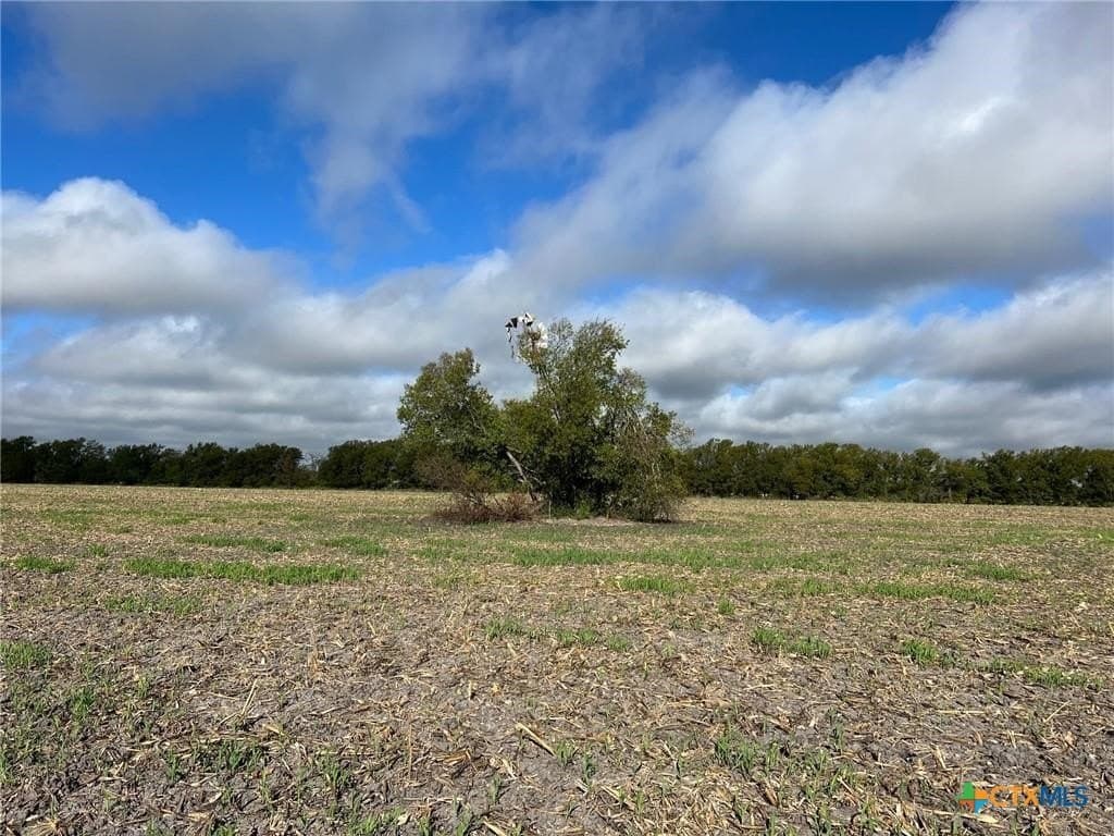 99 acres in Bell County