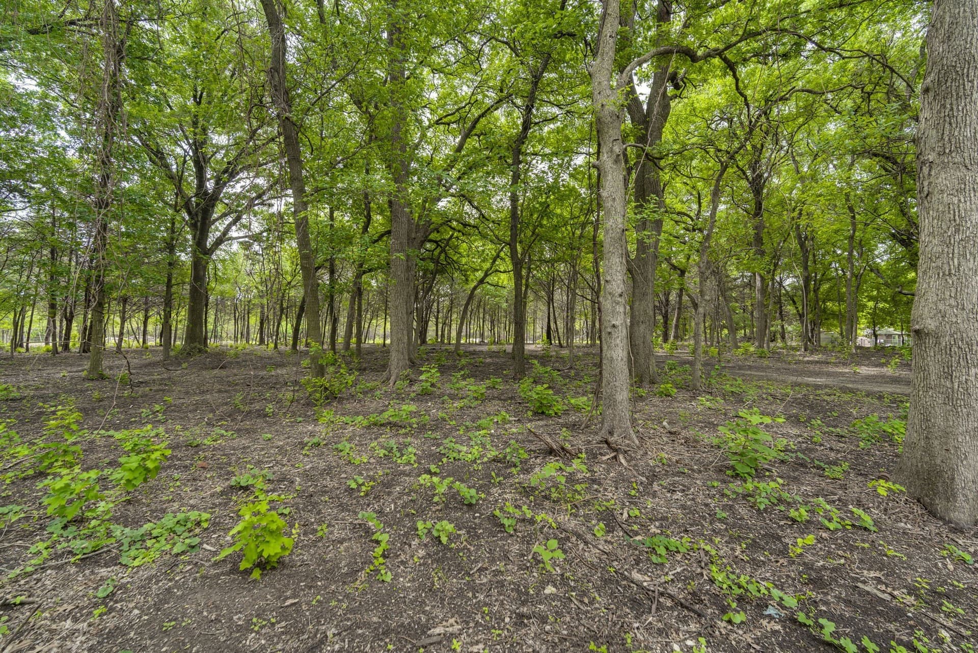 7.53 acres in Ellis County - photo 22