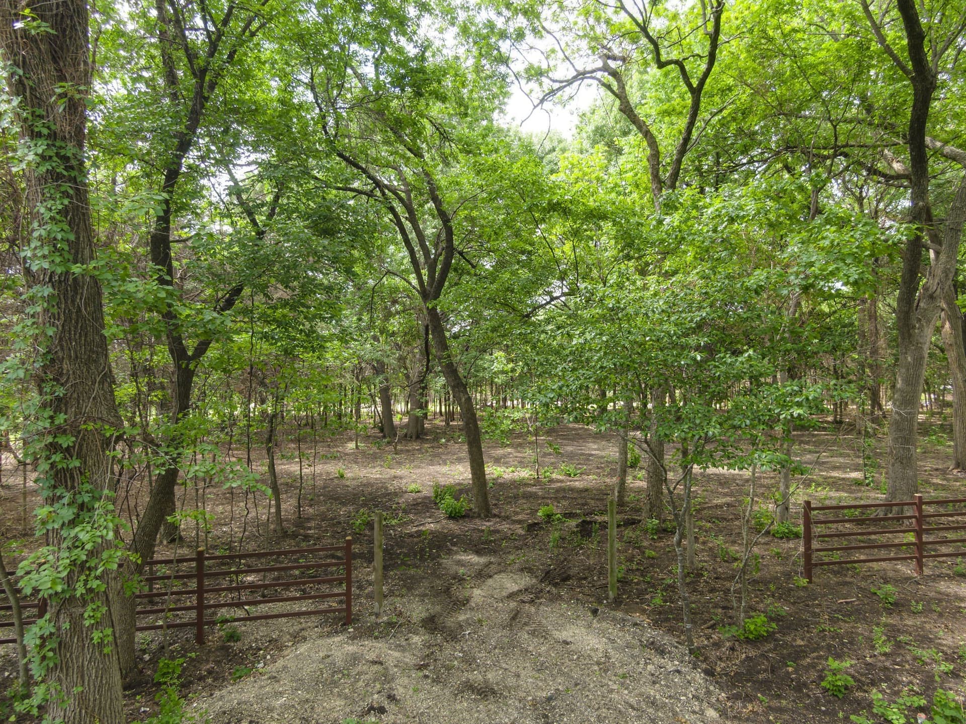 7.53 acres in Ellis County gallery image 2