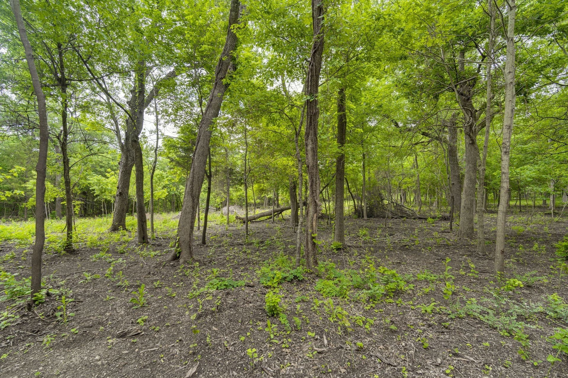 7.53 acres in Ellis County - photo 19