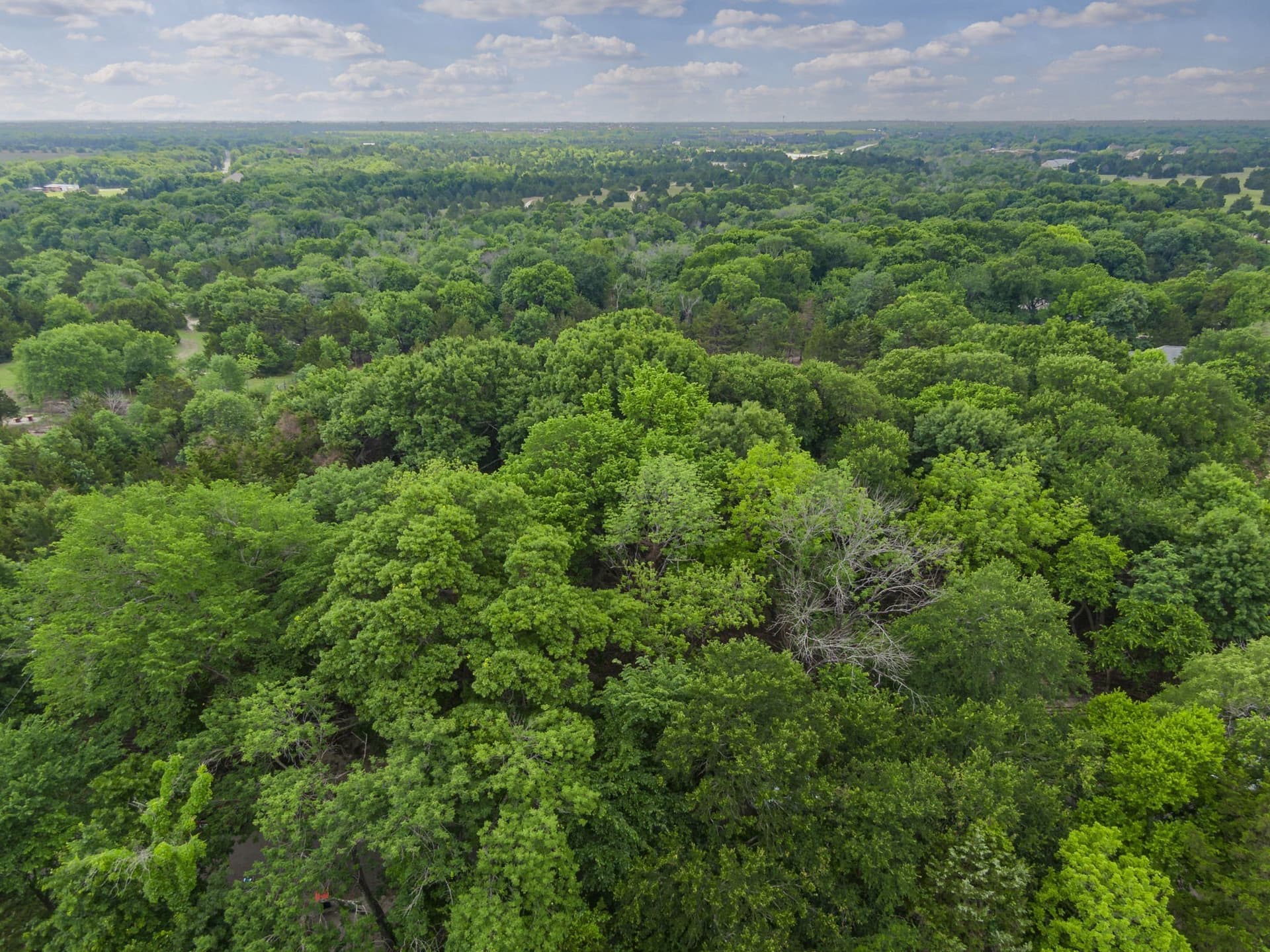 7.53 acres in Ellis County gallery image 4