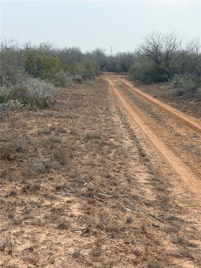 70 acres in Duval County gallery image 3