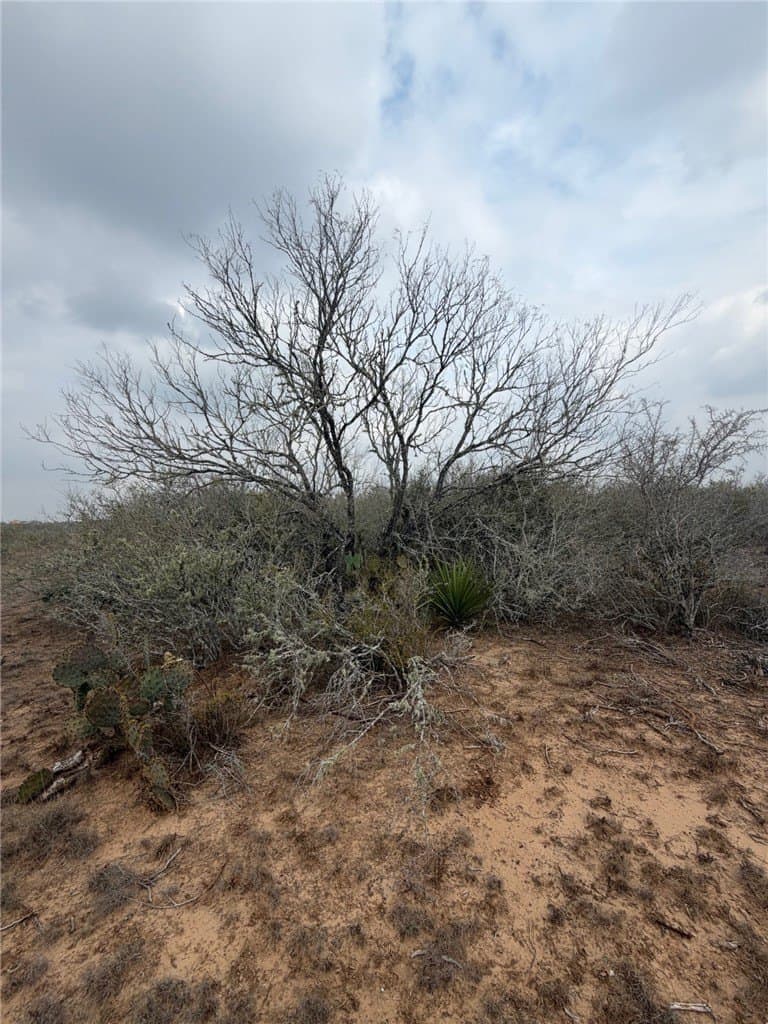 70 acres in Duval County gallery image 4