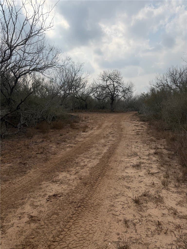 70 acres in Duval County featured view