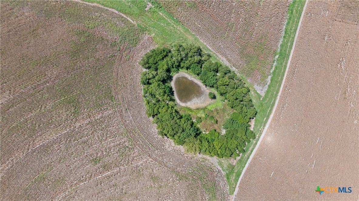 37.72 acres in Bell County - photo 12
