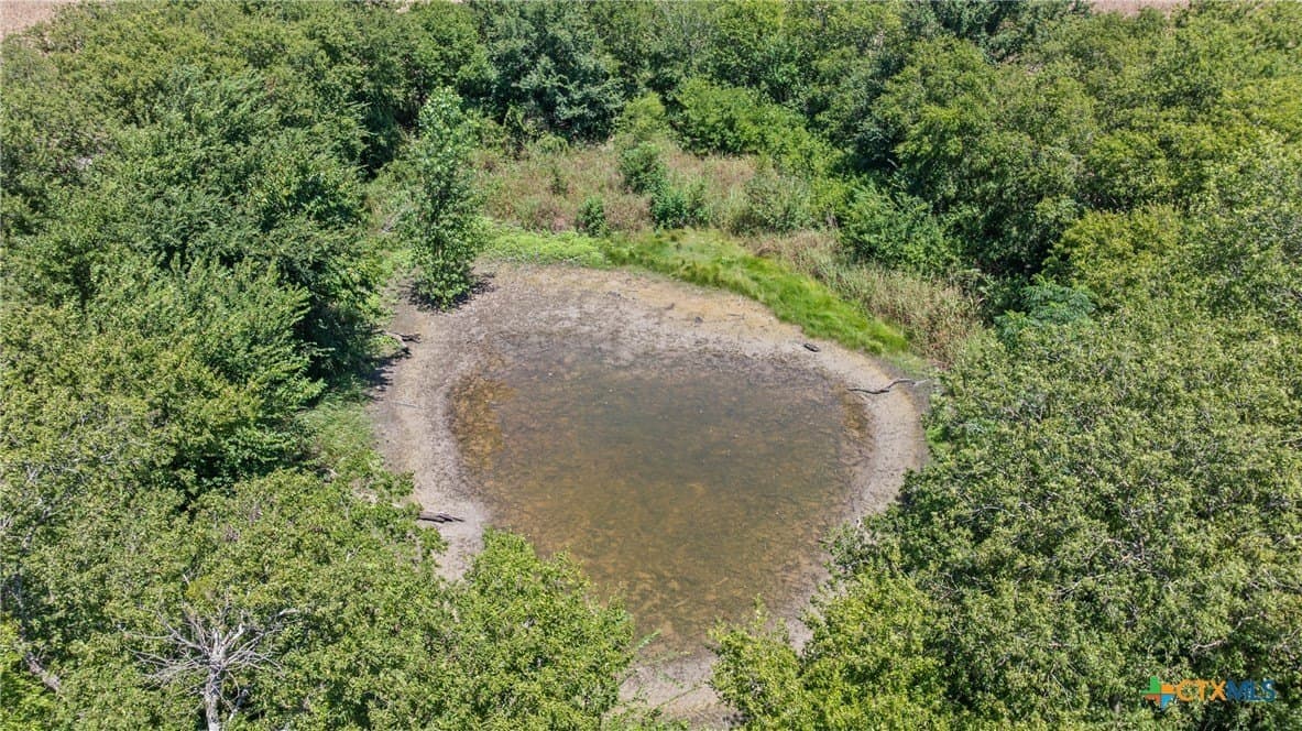 37.72 acres in Bell County - photo 14
