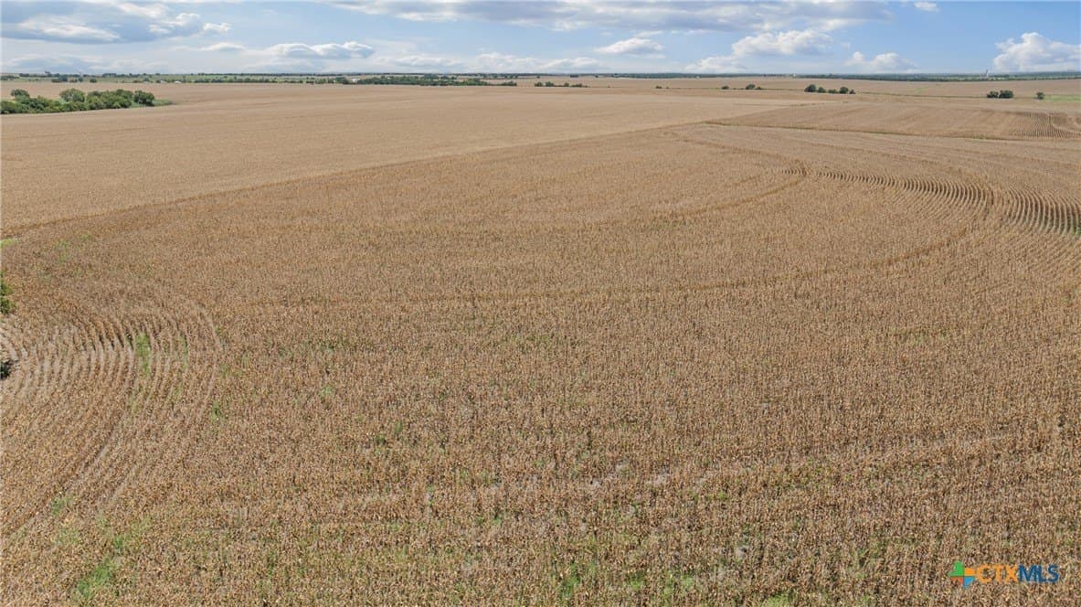 37.72 acres in Bell County - photo 16