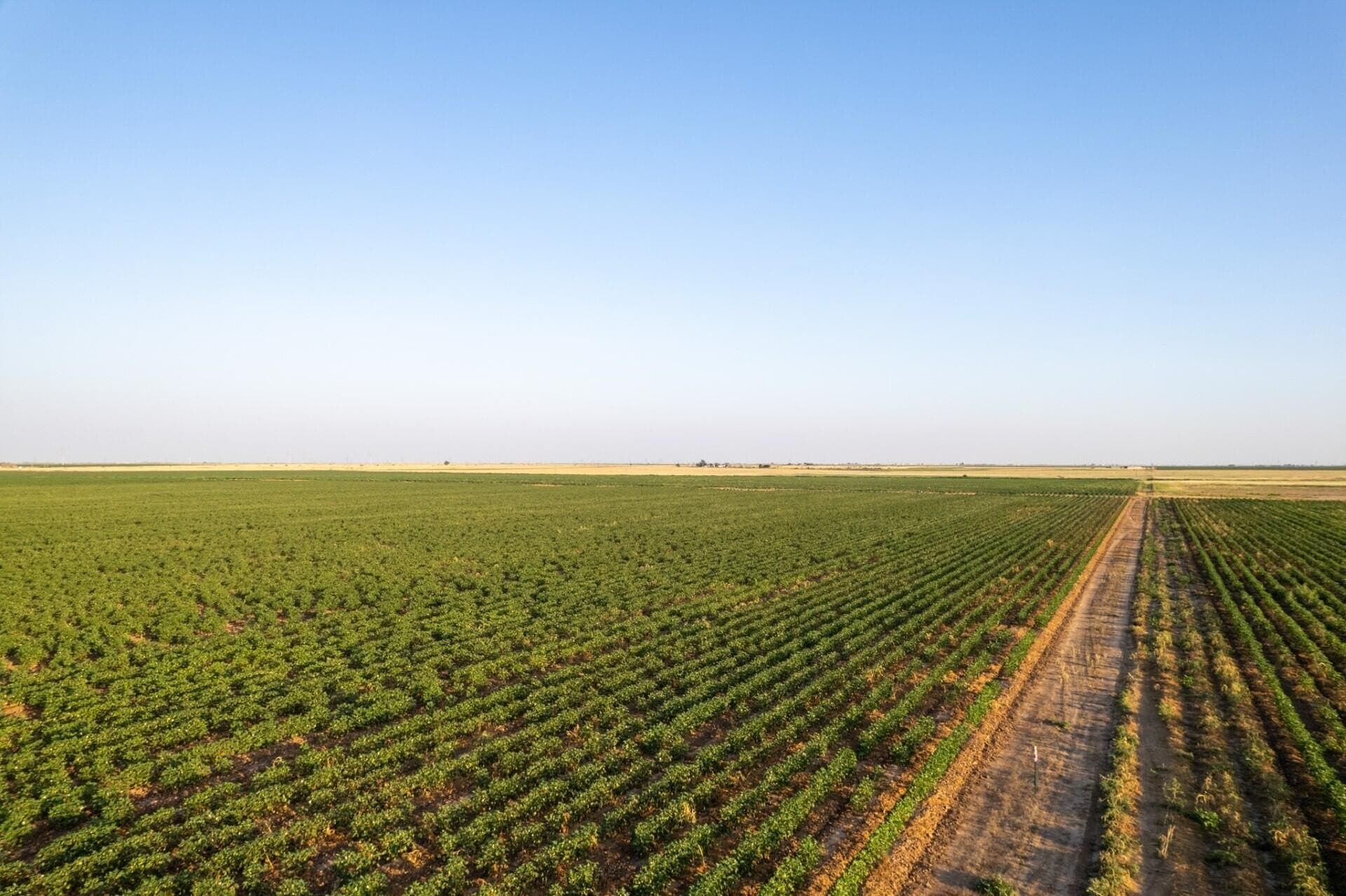 10.01 acres in Hale County