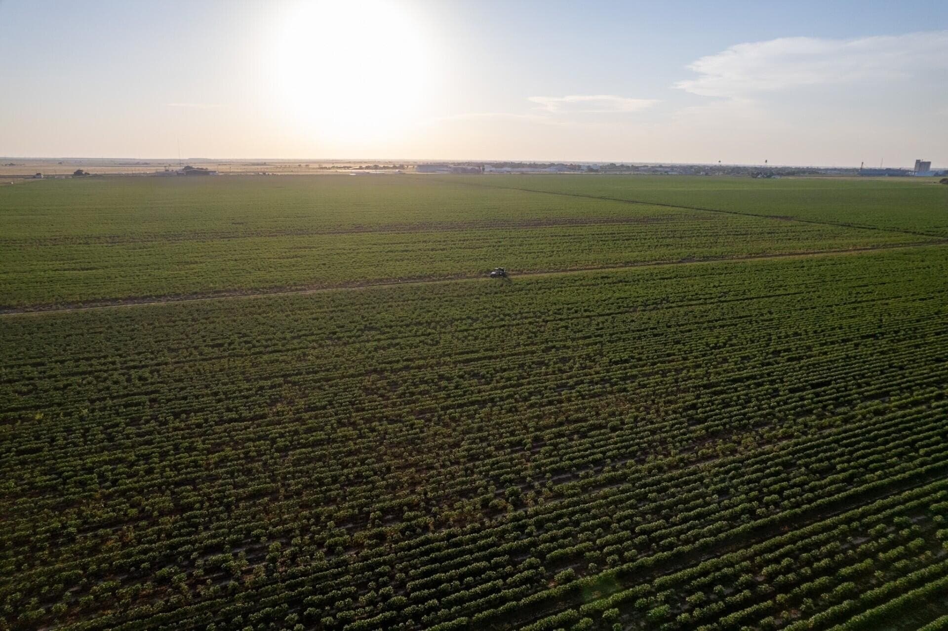 10.01 acres in Hale County featured view