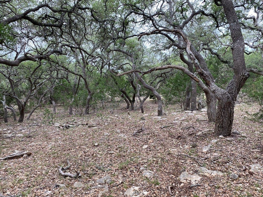 5 acres in Kendall County - photo 6