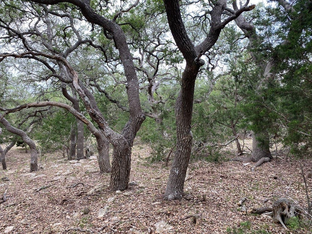 5 acres in Kendall County - photo 7