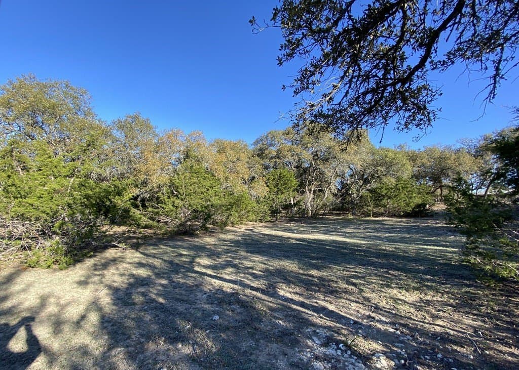 5 acres in Kendall County gallery image 4