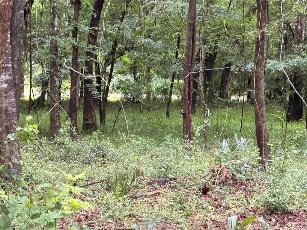 0.24 acres in Montgomery County - photo 11