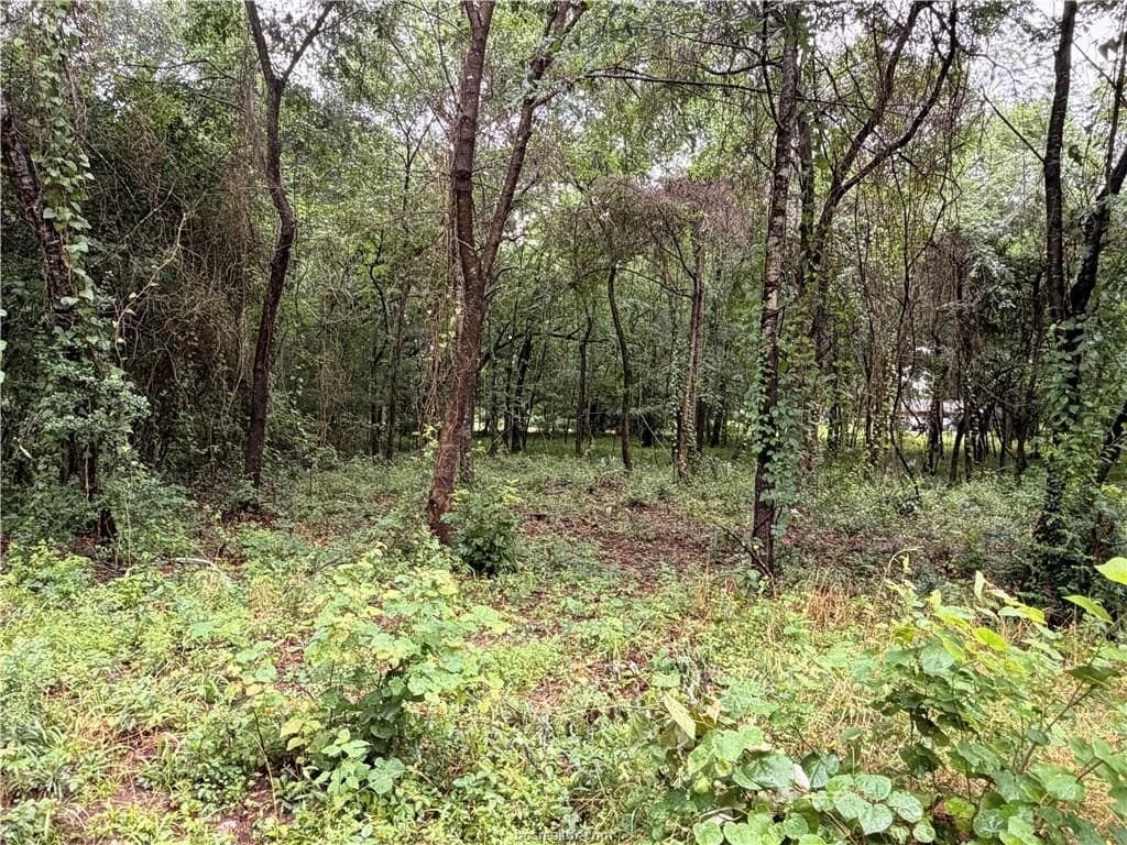 0.24 acres in Montgomery County - photo 12