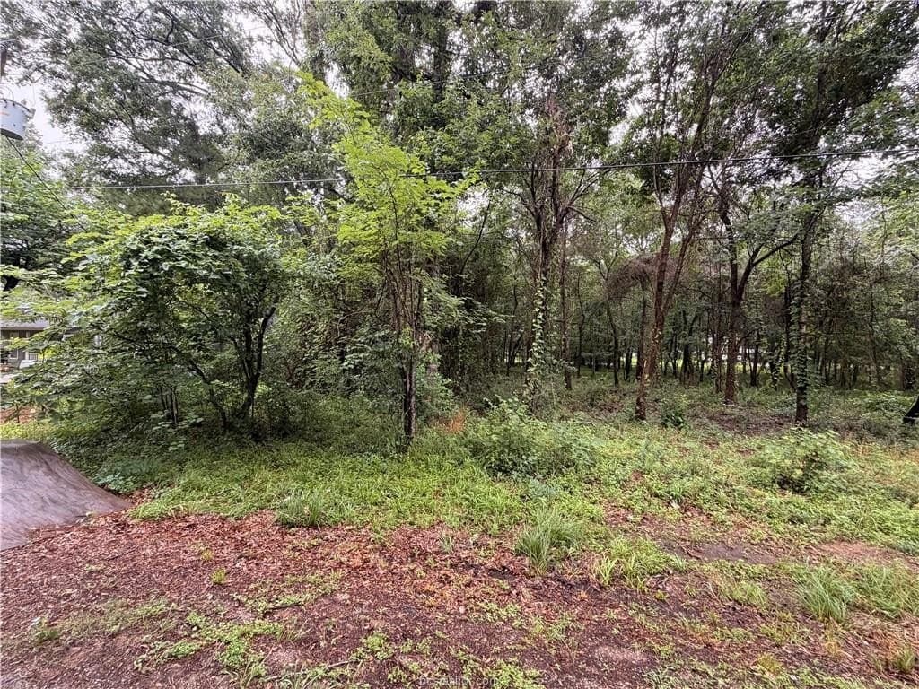 0.24 acres in Montgomery County gallery image 2