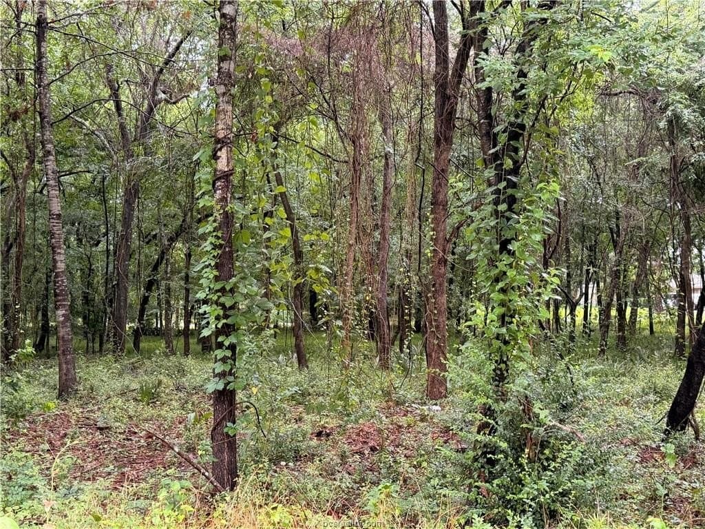 0.24 acres in Montgomery County gallery image 4