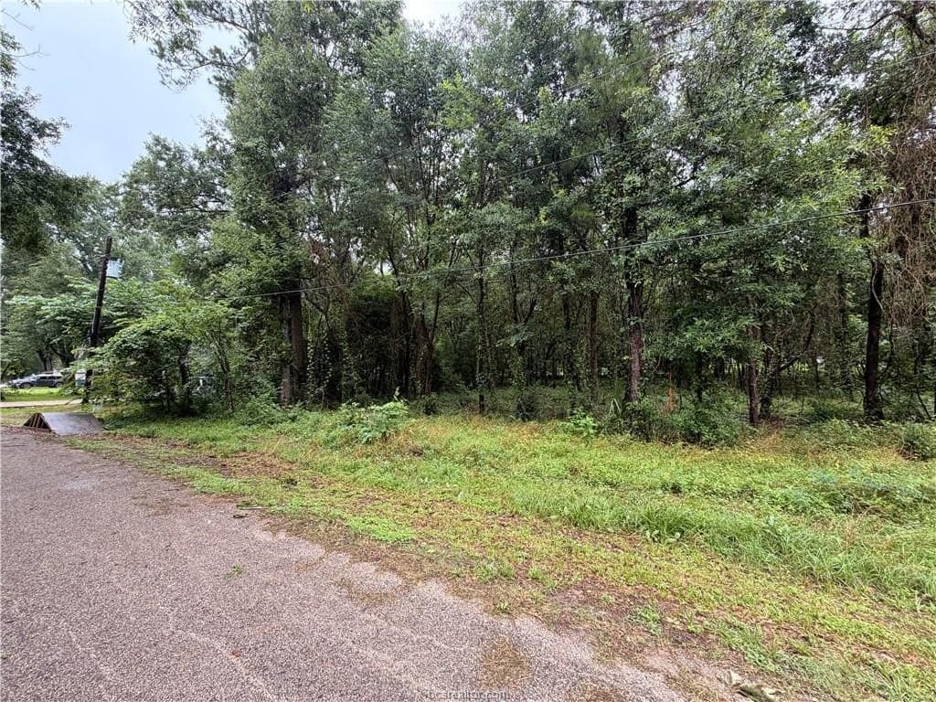 0.24 acres in Montgomery County - photo 9