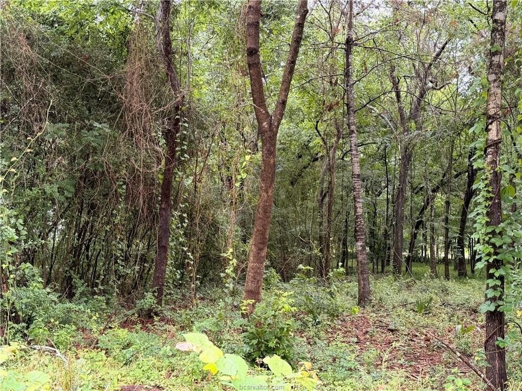0.24 acres in Montgomery County - photo 6