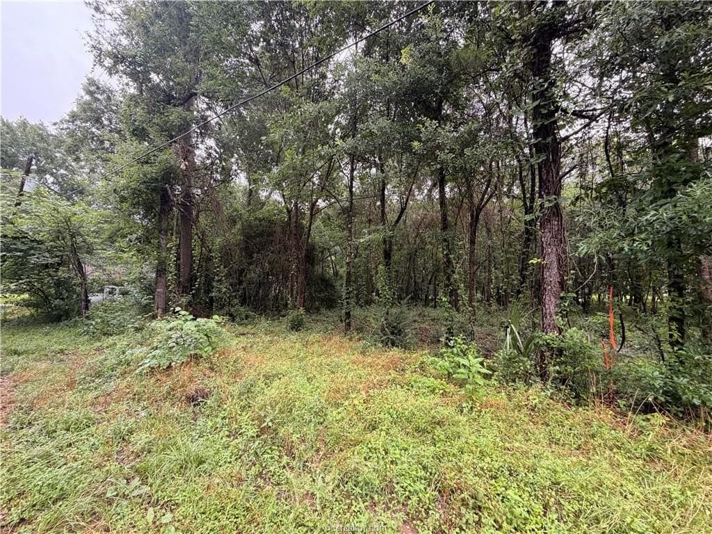 0.24 acres in Montgomery County gallery image 3