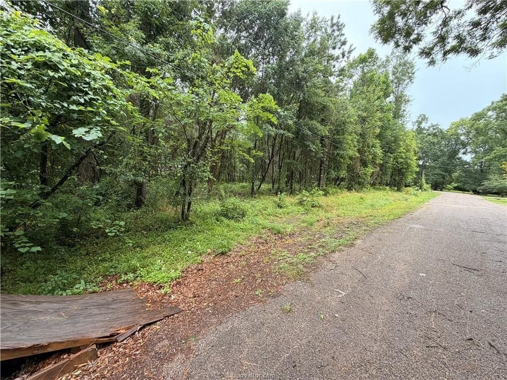 0.24 acres in Montgomery County - photo 7