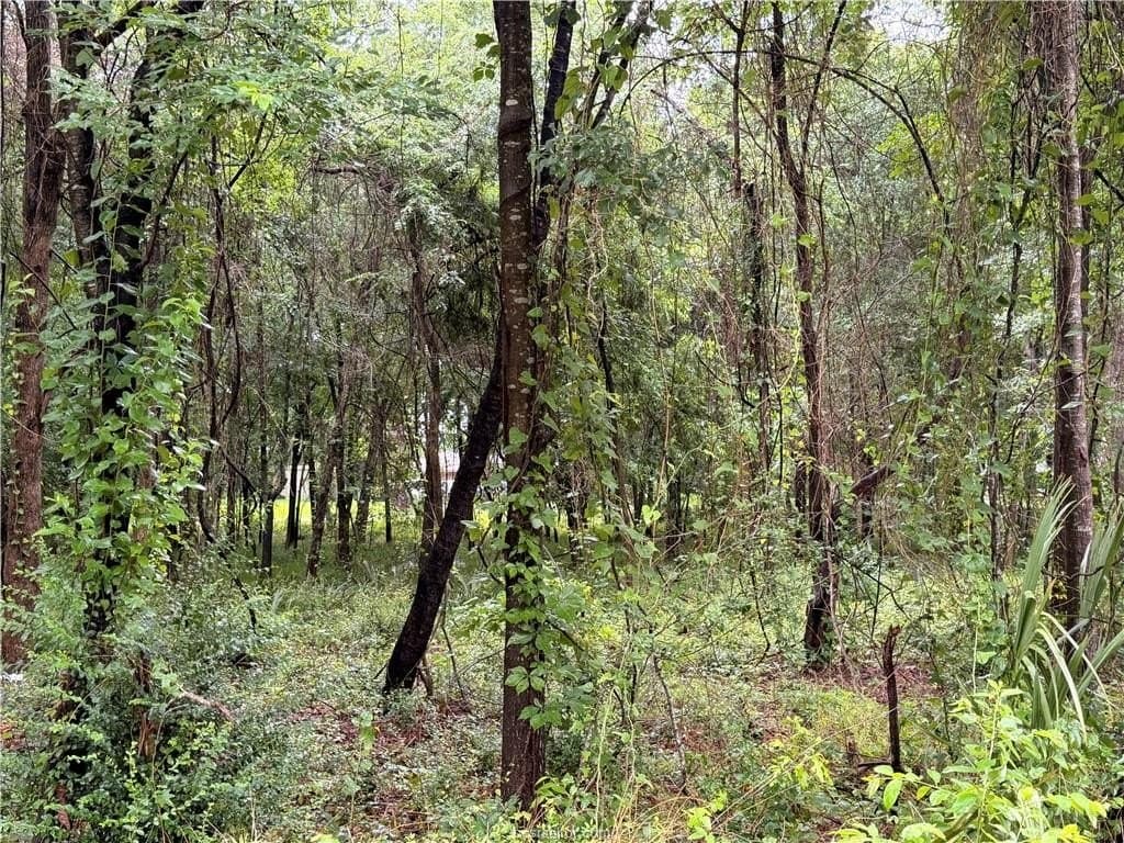 0.24 acres in Montgomery County featured view