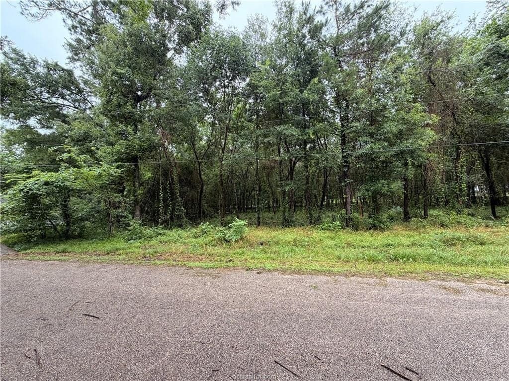 0.24 acres in Montgomery County - photo 8