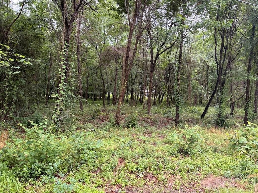 0.24 acres in Montgomery County - photo 14