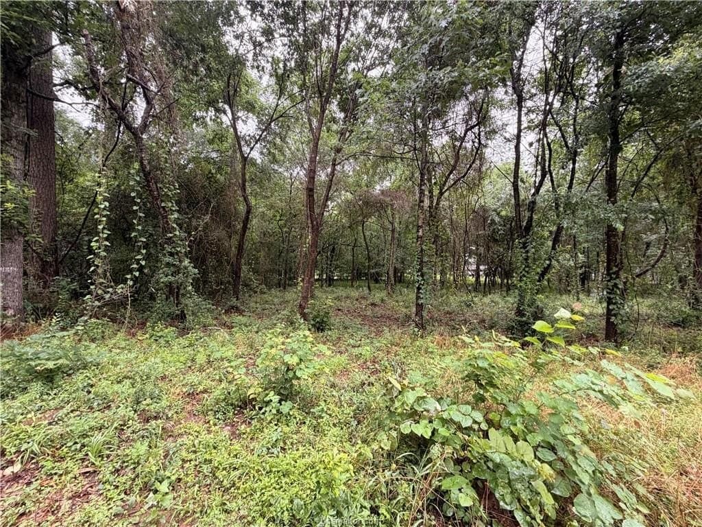 0.24 acres in Montgomery County - photo 13