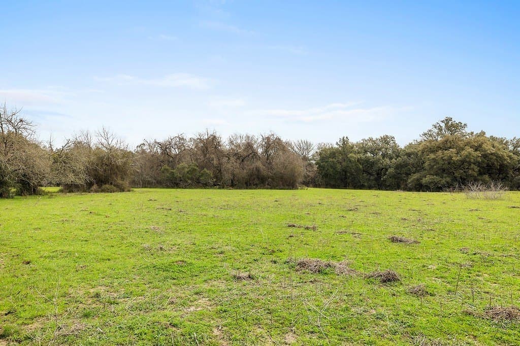 35 acres in Colorado County - photo 7