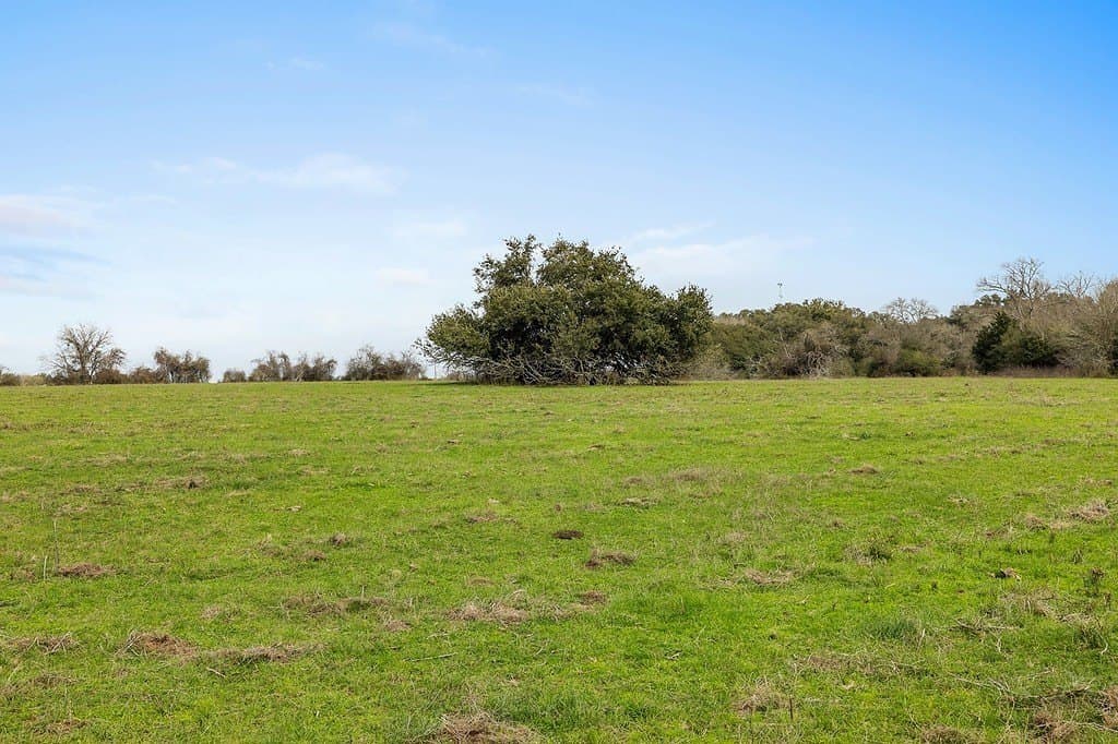 35 acres in Colorado County gallery image 4