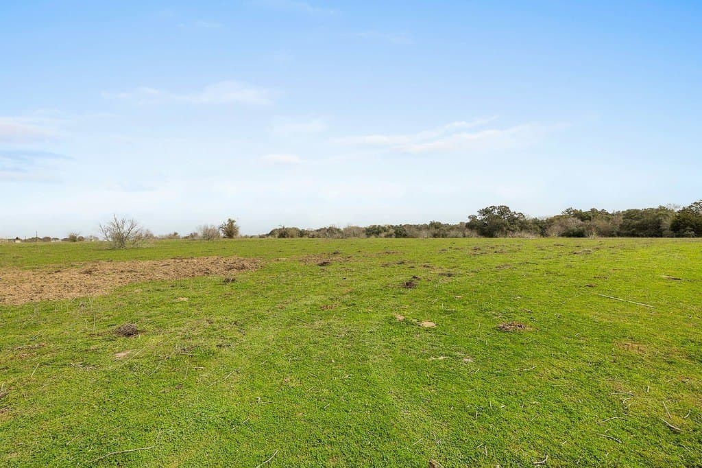 35 acres in Colorado County - photo 6