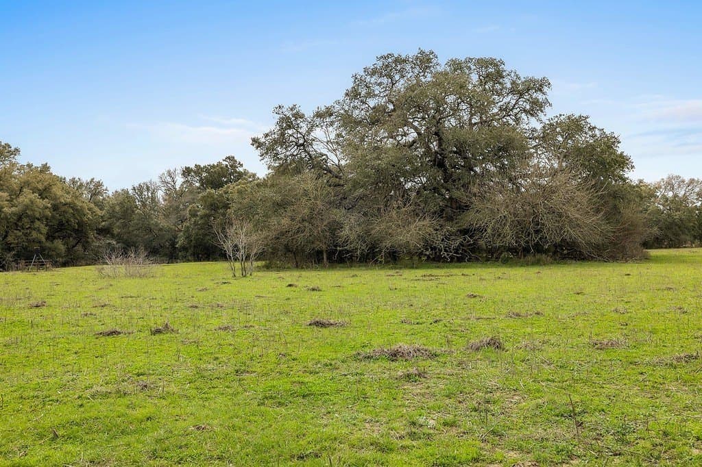 35 acres in Colorado County featured view