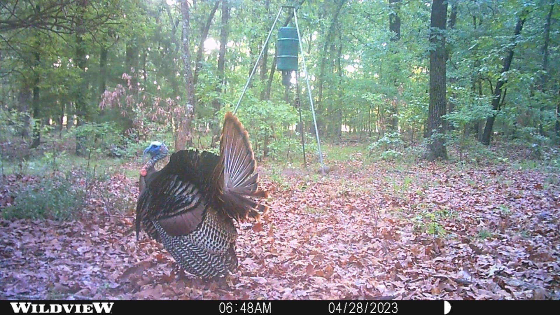 20.39 acres in Lamar County - photo 14