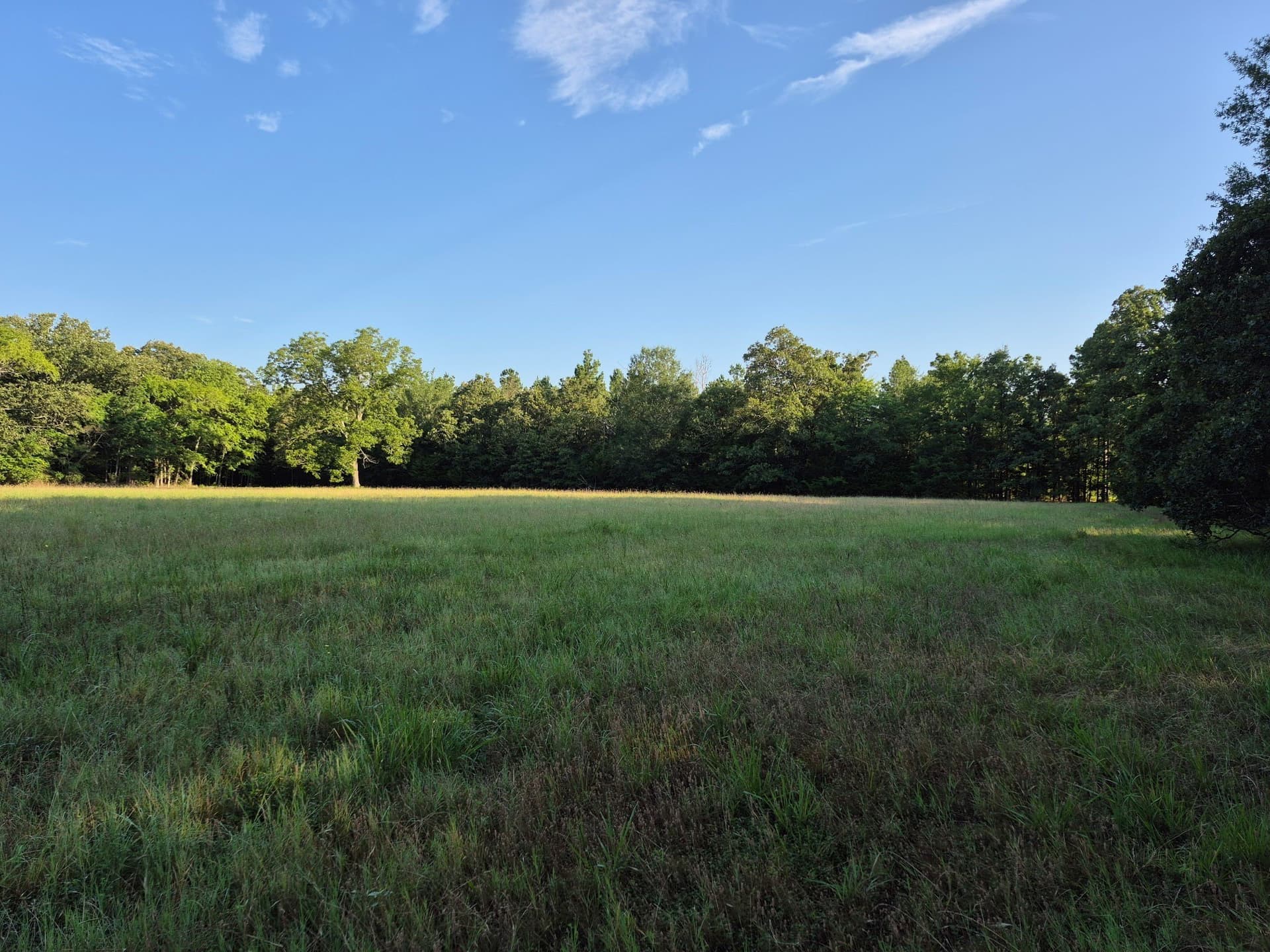 20.39 acres in Lamar County - photo 8