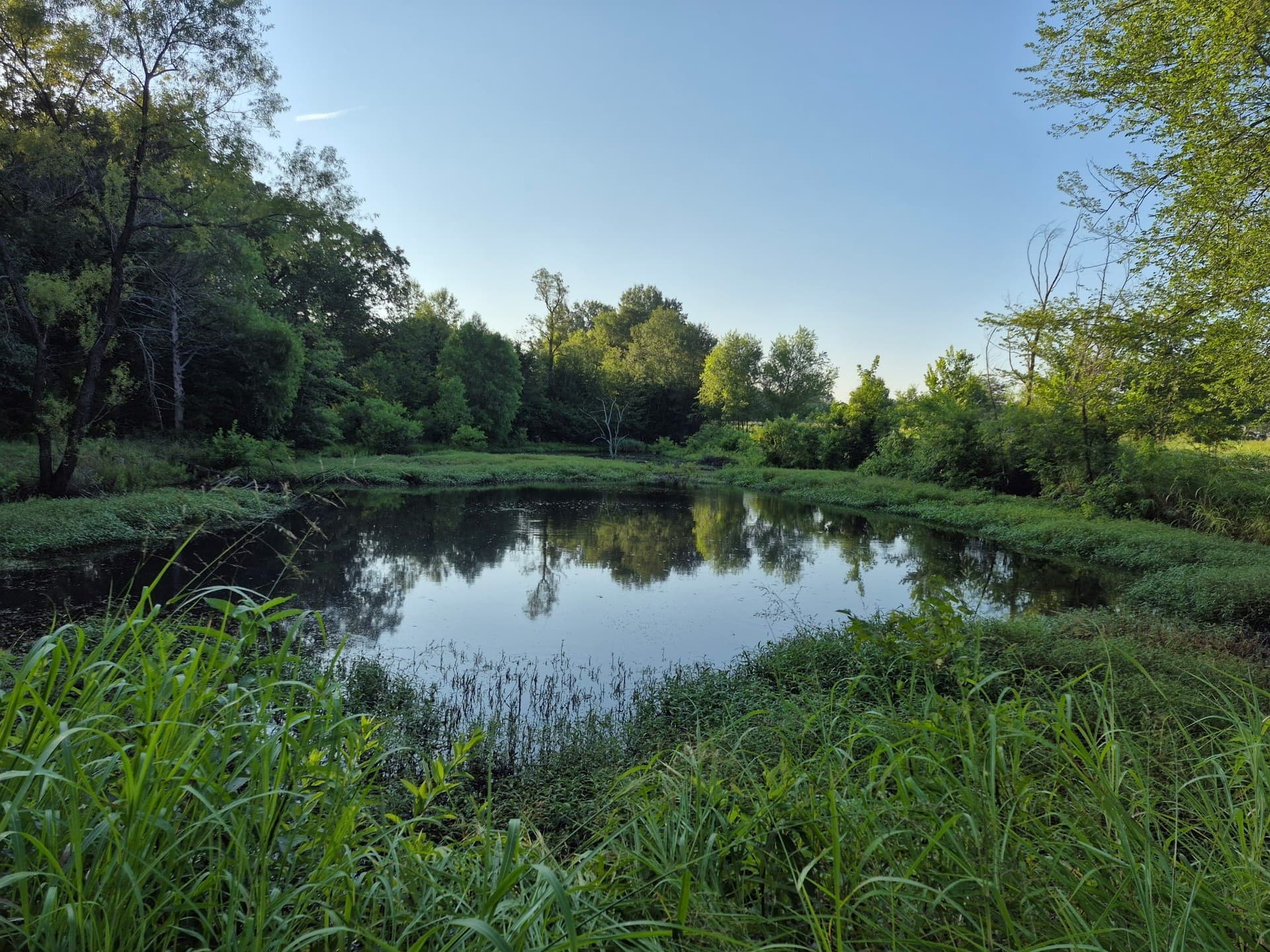 20.39 acres in Lamar County