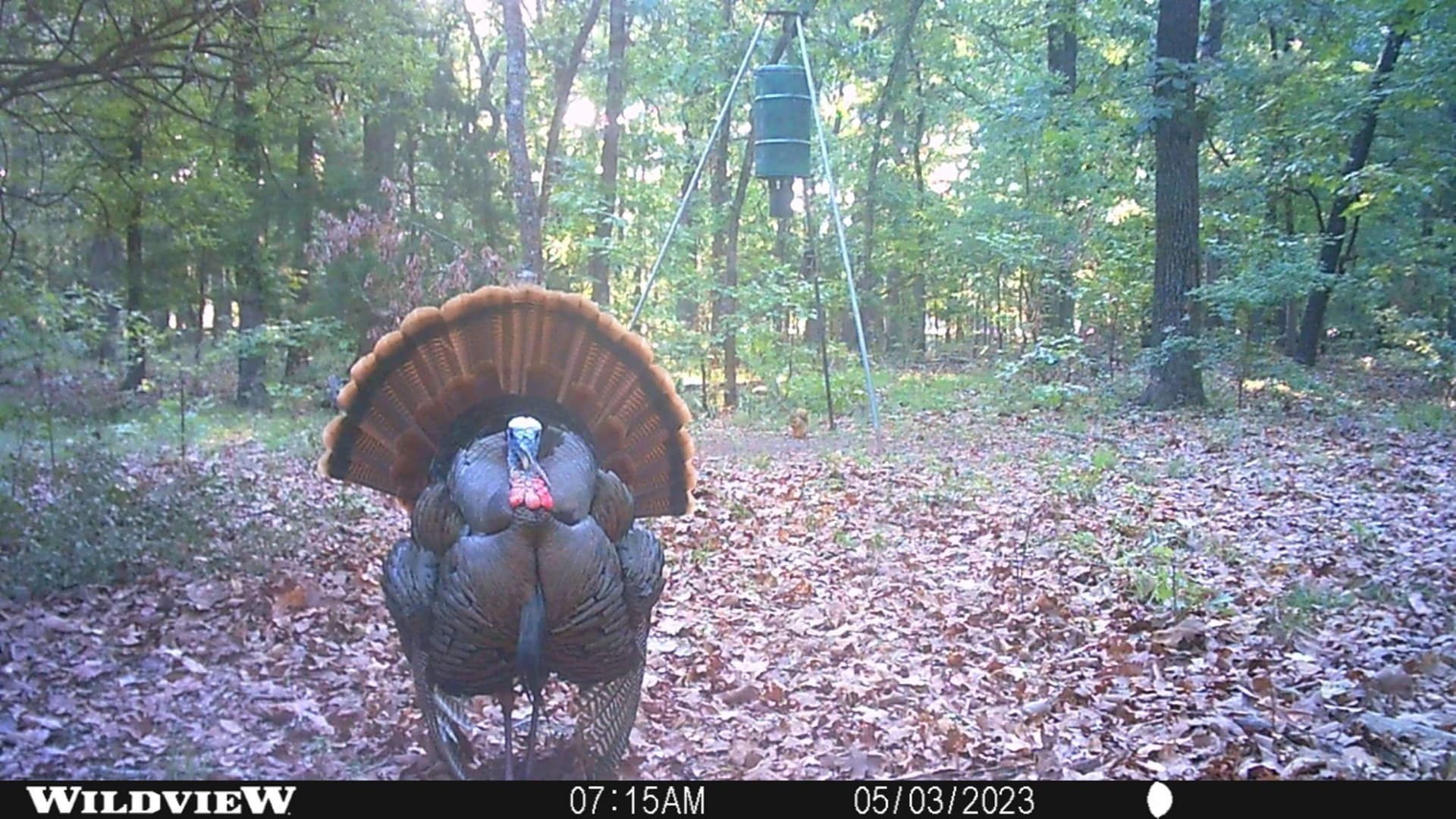 20.39 acres in Lamar County - photo 15