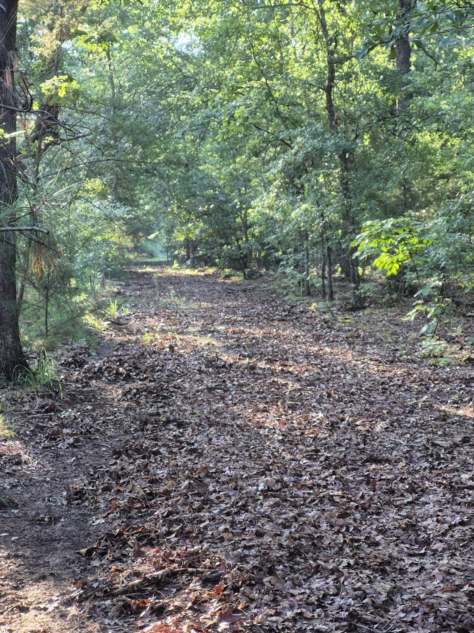 20.39 acres in Lamar County - photo 3