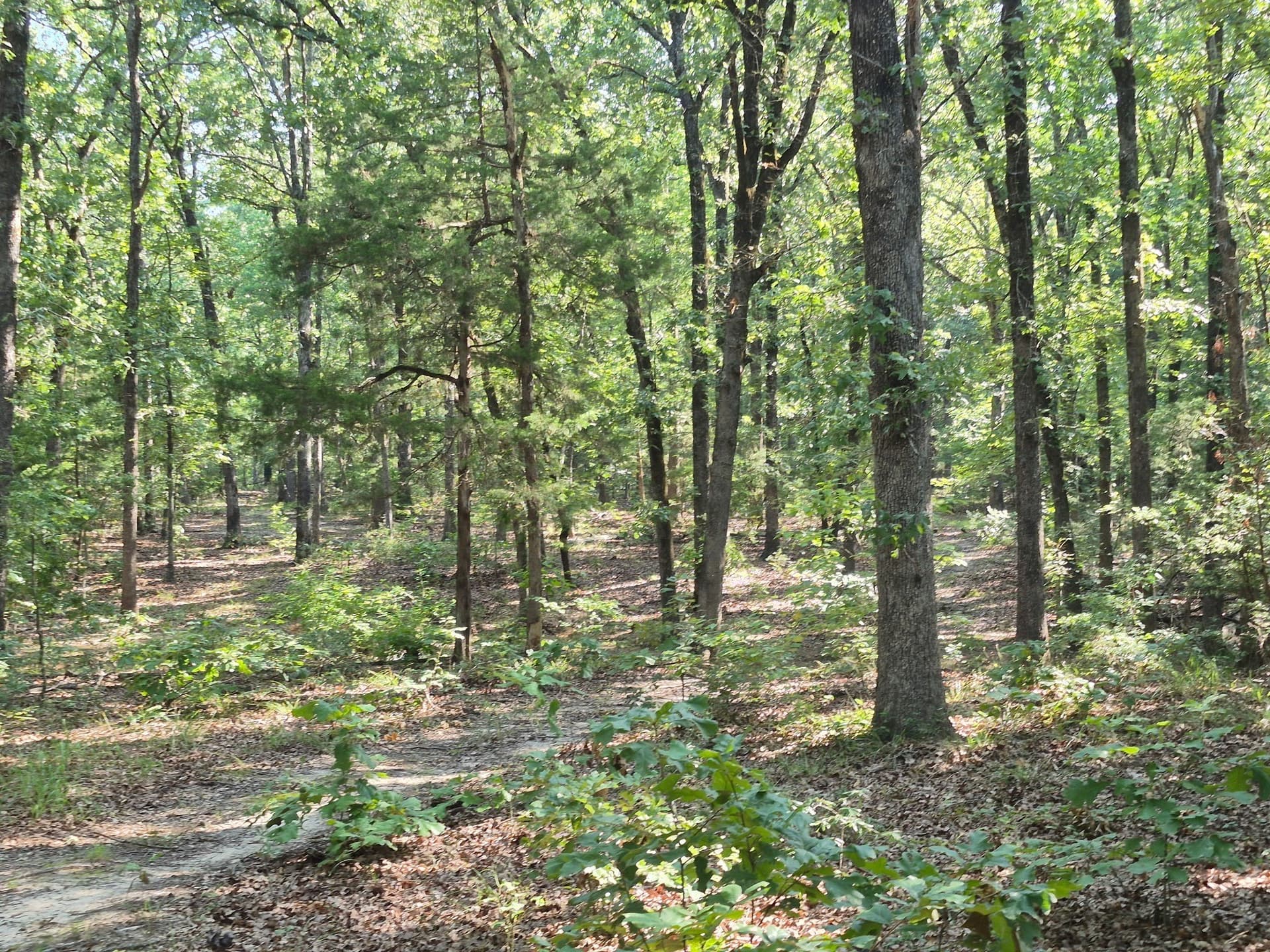 20.39 acres in Lamar County - photo 11