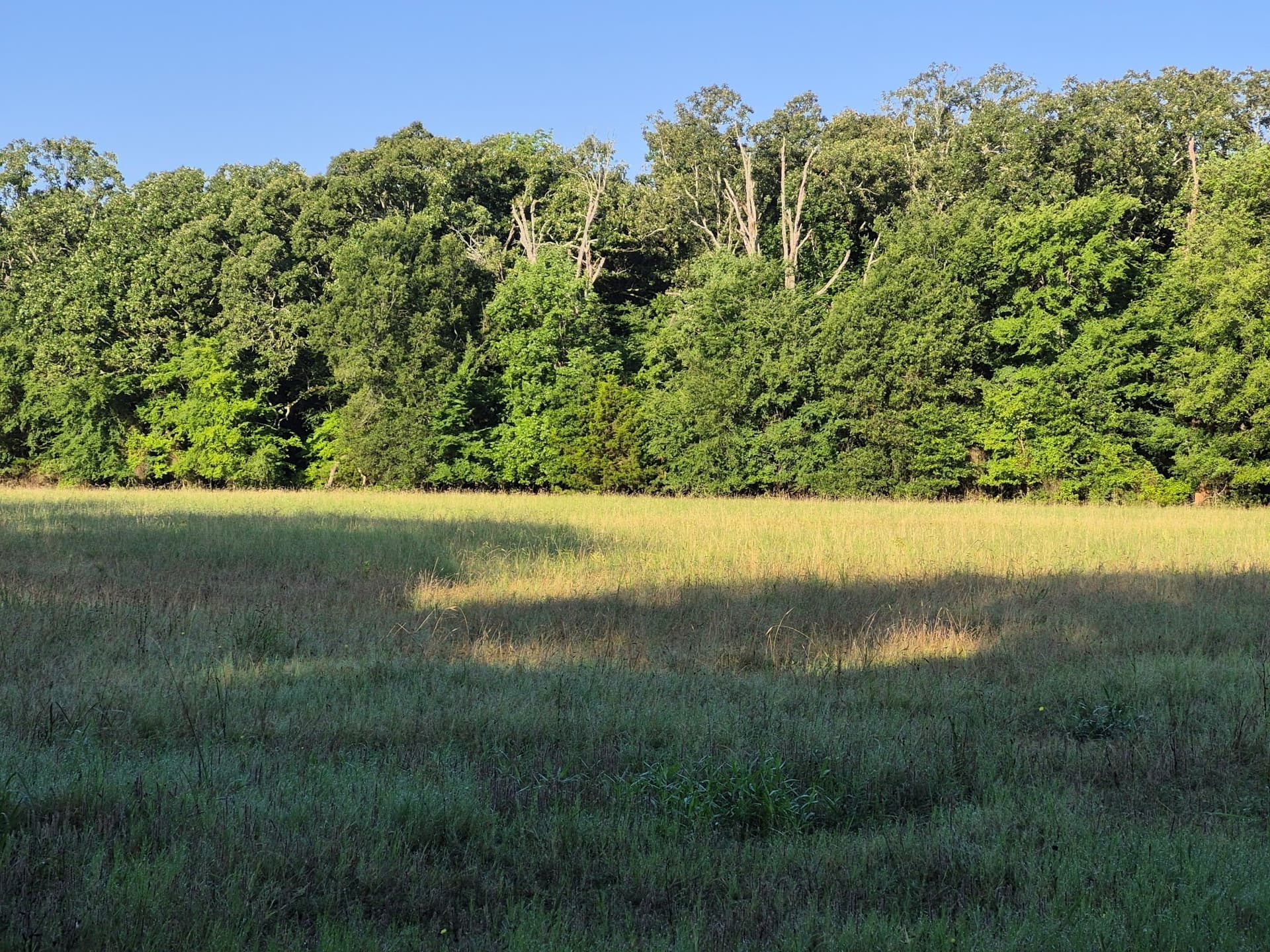 20.39 acres in Lamar County - photo 7