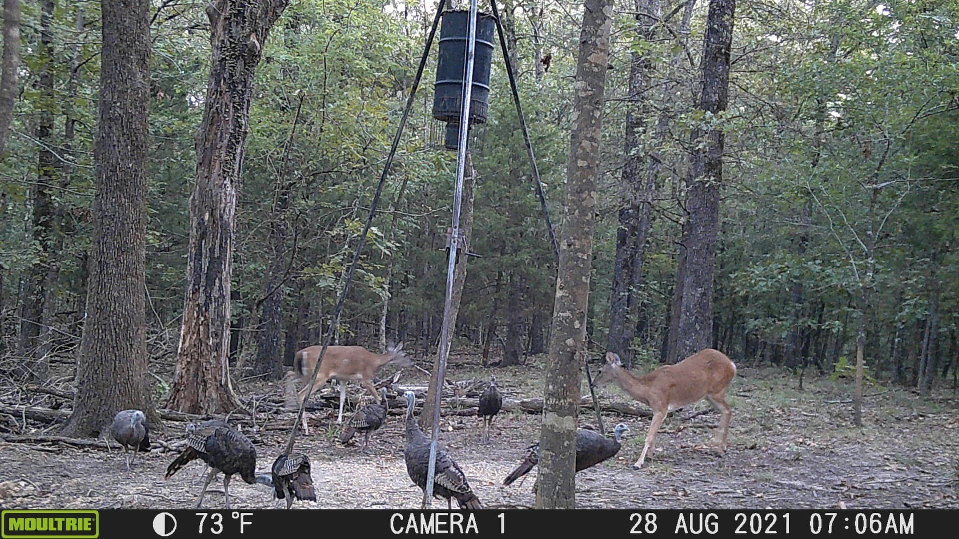 20.39 acres in Lamar County - photo 16