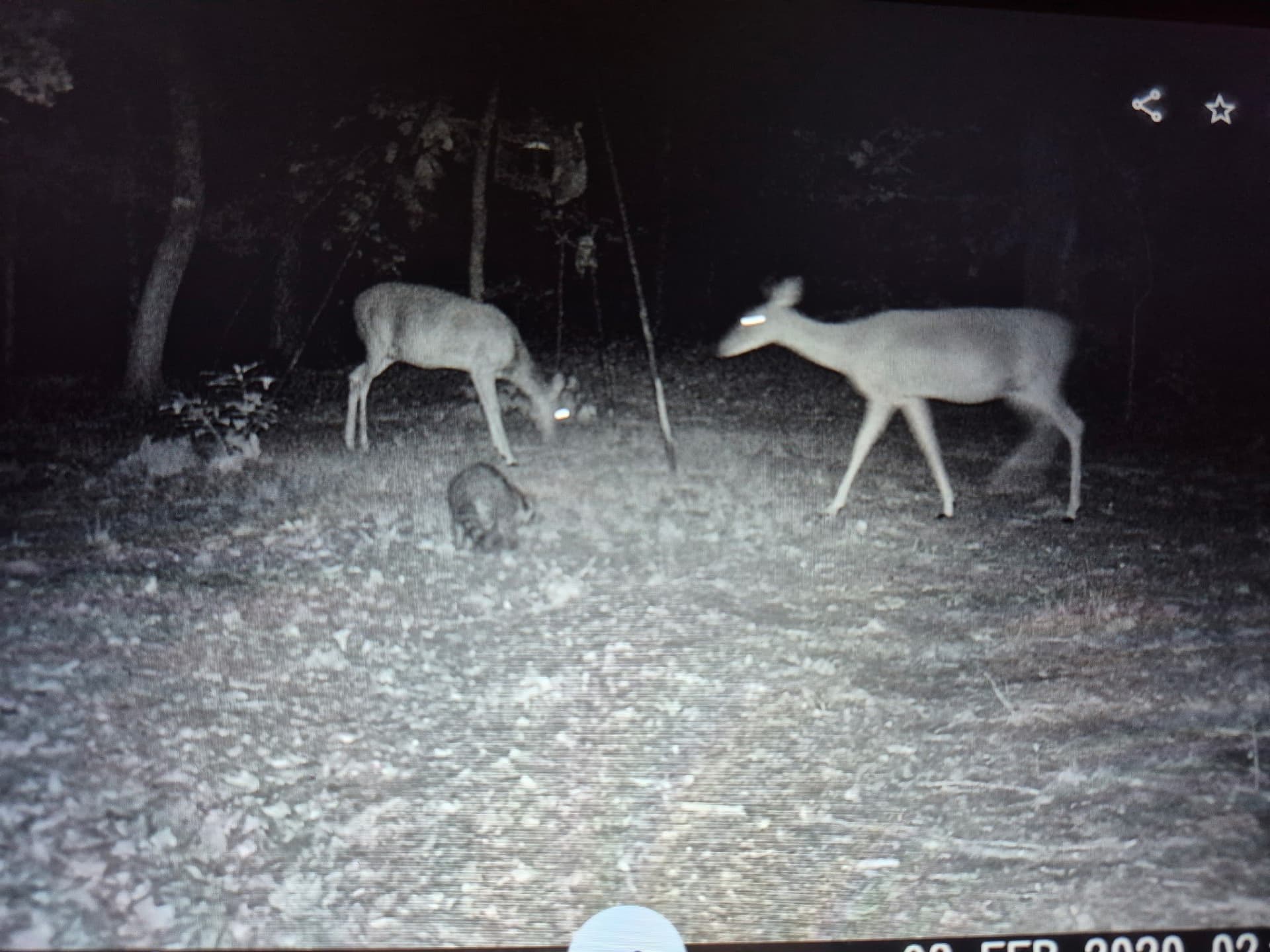 20.39 acres in Lamar County - photo 13